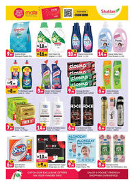 Shaklan leaflet Page 6