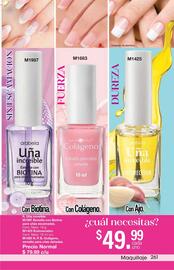 Catálogo Arabela Página 231