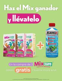 Catálogo Garis semana 47 Página 2