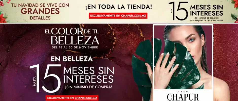 Catálogo Chapur (válido hasta 30-11)