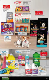 Catálogo Walmart Express Página 17