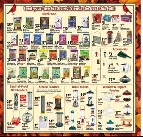 Ocean State Job Lot flyer week 47 Page 13