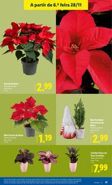 Folheto Lidl semana 48 Página 27