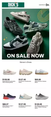 Dick's Sporting Goods weekly ad (valid until 25-11)