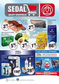 Sedal gazetka Strona 1