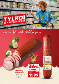 Kaufland gazetka Strona 17