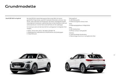 Audi Flugblatt | Q5 Seite 17
