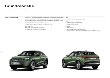 Audi Flugblatt | Q5 Seite 18