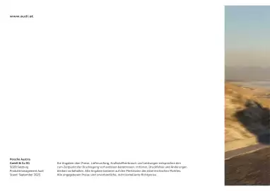 Audi Flugblatt | e-tron GT Seite 100