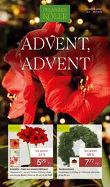 Pflanzen Kölle Prospekt woche 48 Seite 1