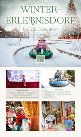 Pflanzen Kölle Prospekt woche 48 Seite 10