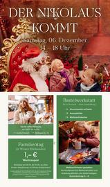 Pflanzen Kölle Prospekt woche 48 Seite 11