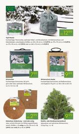 Pflanzen Kölle Prospekt woche 48 Seite 12