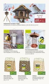 Pflanzen Kölle Prospekt woche 48 Seite 13