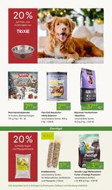 Pflanzen Kölle Prospekt woche 48 Seite 14