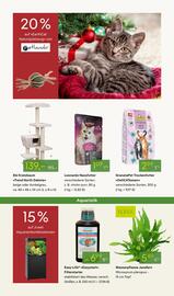 Pflanzen Kölle Prospekt woche 48 Seite 15