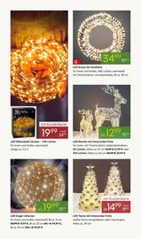 Pflanzen Kölle Prospekt woche 48 Seite 4