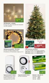 Pflanzen Kölle Prospekt woche 48 Seite 5