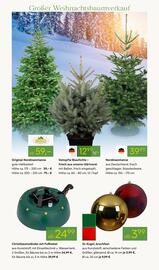 Pflanzen Kölle Prospekt woche 48 Seite 6