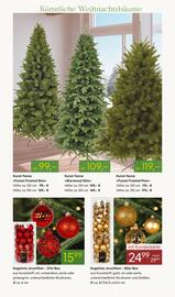 Pflanzen Kölle Prospekt woche 48 Seite 7