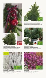 Pflanzen Kölle Prospekt woche 48 Seite 8