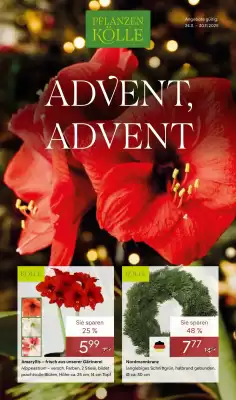 Pflanzen Kölle Prospekt (gültig bis 30-11)