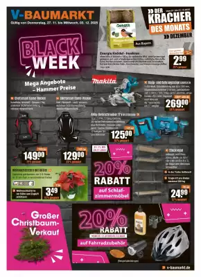V Baumarkt Prospekt (gültig bis 4-12)