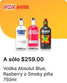 Catálogo OXXO Página 38