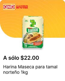 Catálogo OXXO Página 48