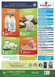 Volantino Ciro Amodio Pagina 12