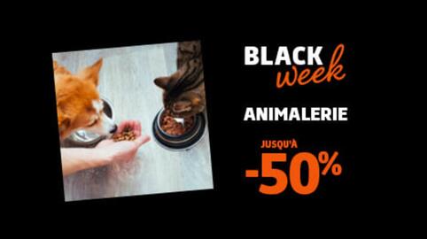 Catalogue Jardiland page 5