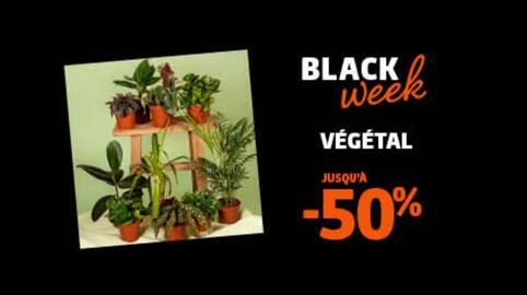 Catalogue Jardiland page 9