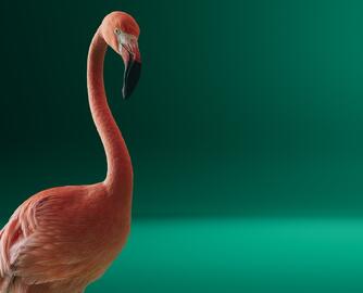 Škoda akciós újság | Elroq Oldal 2