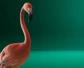 Škoda akciós újság | Elroq Oldal 2