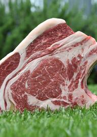 Volantino Centro Carne Pagina 20