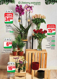 Dino gazetka tydzień 47 Strona 53