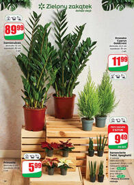 Dino gazetka tydzień 47 Strona 54