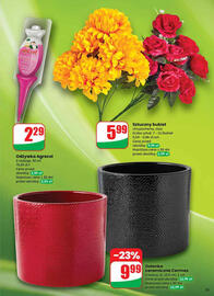 Dino gazetka tydzień 47 Strona 55