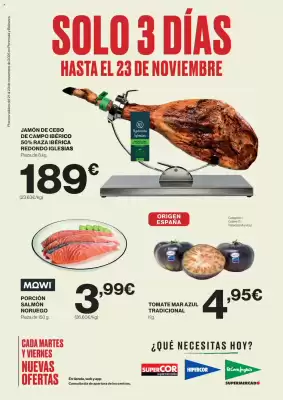 Catálogo El Corte Inglés (válido hasta el 23-11)