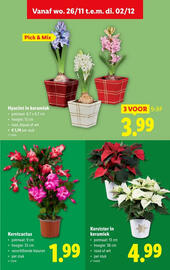 Lidl folder Pagina 37