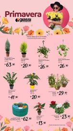 Encarte Giassi Supermercados semana 47 Página 2