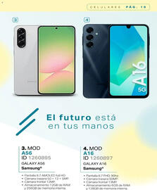 Catálogo Price Shoes Página 10