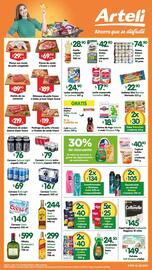 Folleto Arteli Página 2