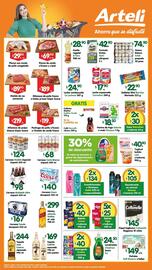 Catálogo Arteli express Página 1