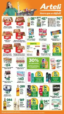 Catálogo Arteli express (válido hasta 21-11)