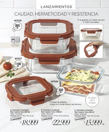 Catálogo Violetta Cosméticos Página 91