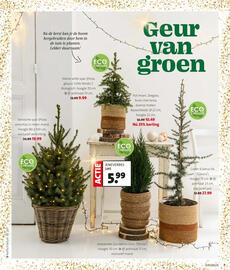 Intratuin folder week 48 Pagina 7