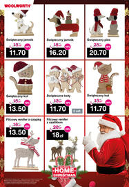 Woolworth gazetka Strona 38