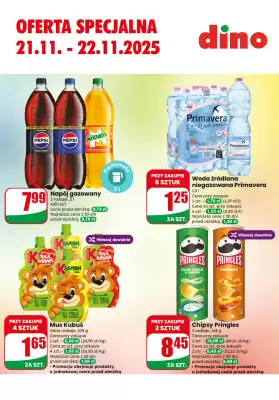 Dino gazetka (ważność do 22-11)