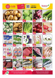 Shaklan leaflet Page 2